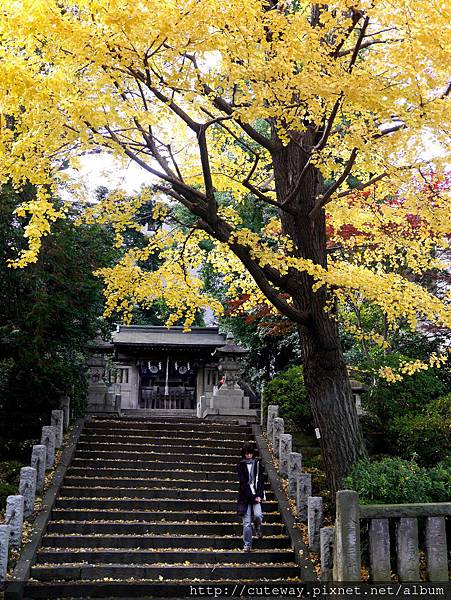 根津 根津神社