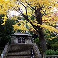 根津 根津神社