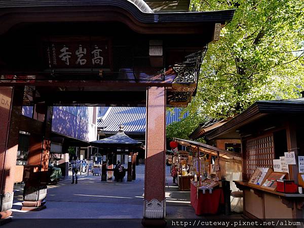 巢鴨 高岩寺