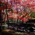 荻漥 大田黑公園