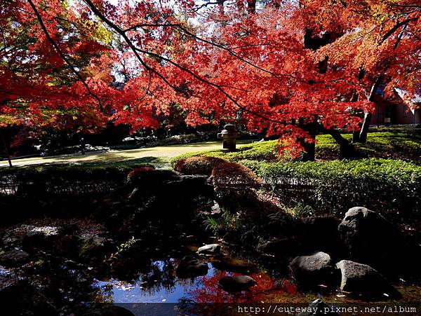 荻漥 大田黑公園