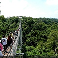 南投 天空 步道