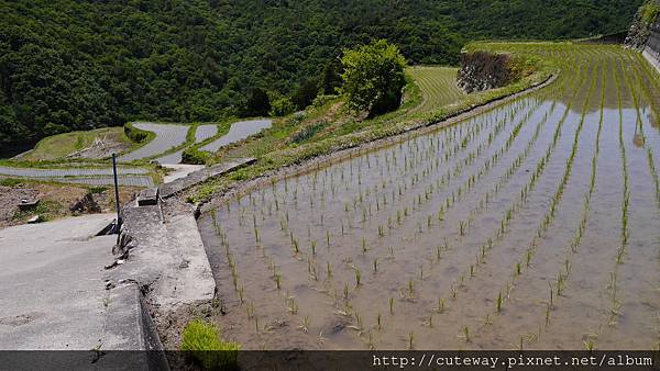 小豆島自駕