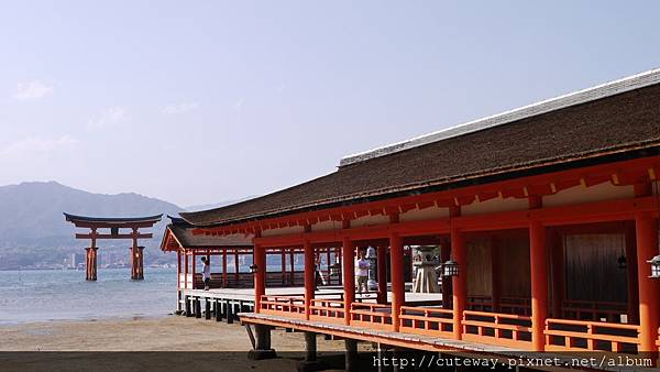 宮島 嚴島神社