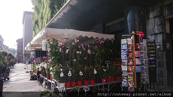 亞維儂傳統市場Marché les Halles