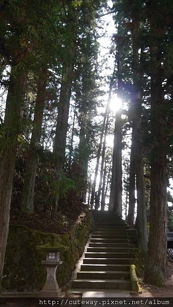 高山櫻山八幡宮