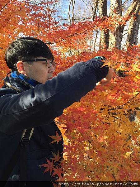 名古屋覺王山 日泰寺 名古屋覺王山 日泰寺