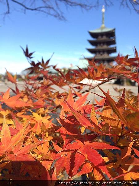 名古屋覺王山 日泰寺 名古屋覺王山 日泰寺