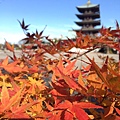 名古屋覺王山 日泰寺