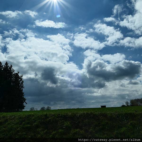 buget租車_皮爾森往皮薩克