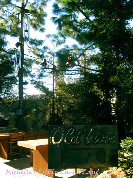 Old Vine Cafe-01.jpg Old Vine Cafe-01.jpg