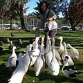 Irene bread ducks.jpg