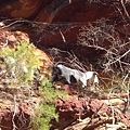 20080326-Kabarri National Park3.jpg