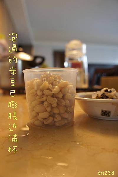 0912 米豆.JPG