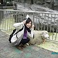 上野動物園-我跟羊咩咩