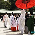 原宿-明治神宮-新娘