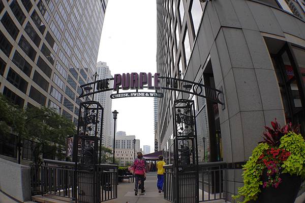 P1250048.JPG P1250048.JPG