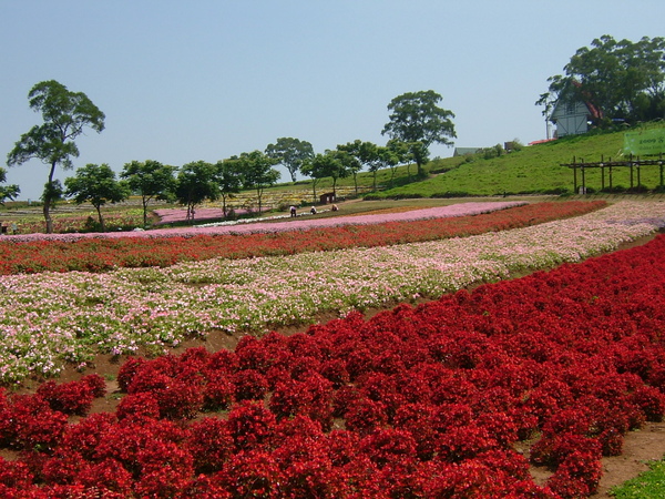 DSCF5041.JPG
