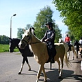 遇到一群馬路過