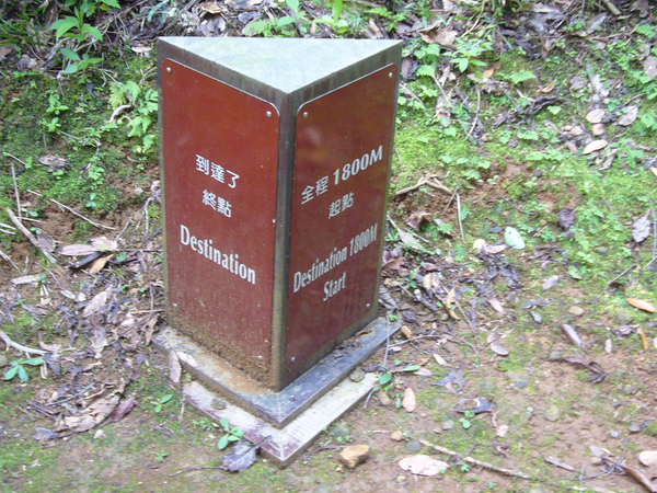 P1130842.JPG