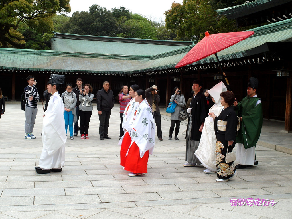 東京第一次自由行。經典東京。三鶯美術館+吉祥寺+明治神宮 (54)