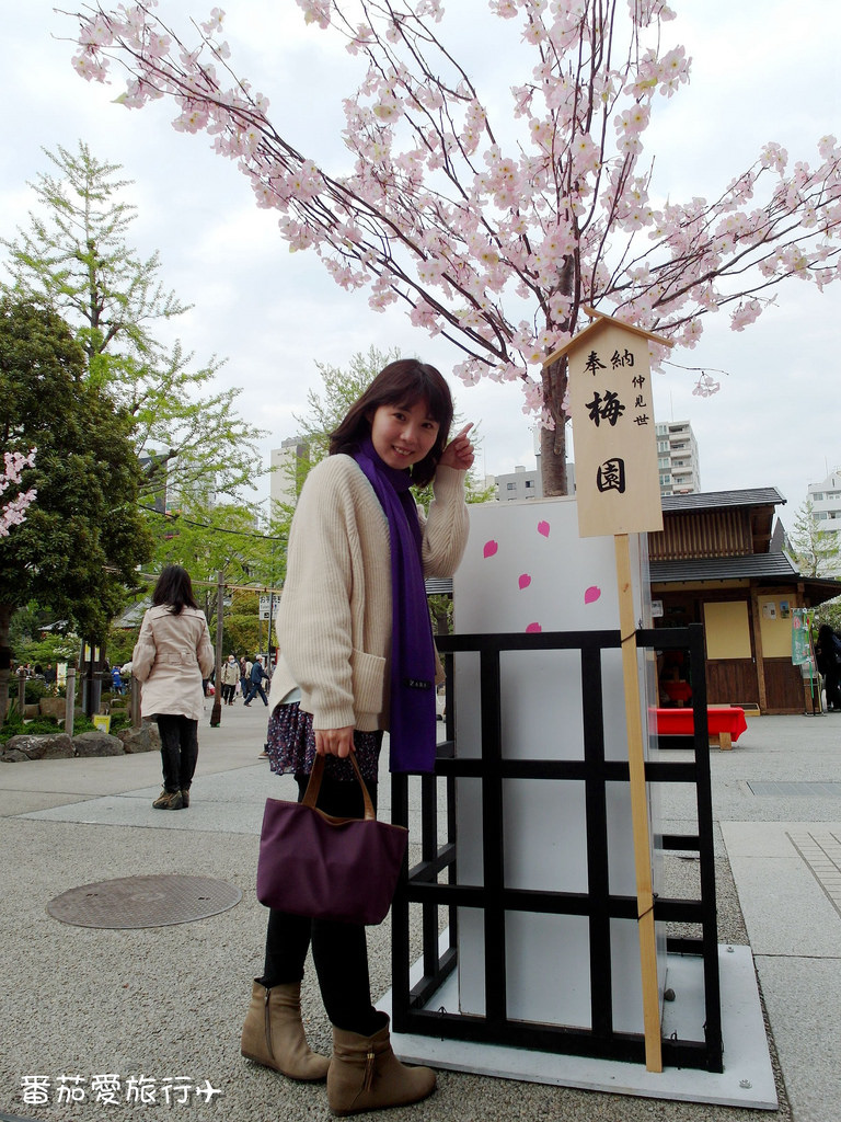 東京第一次自由行。經典東京。東京必去景點淺草寺 (19)