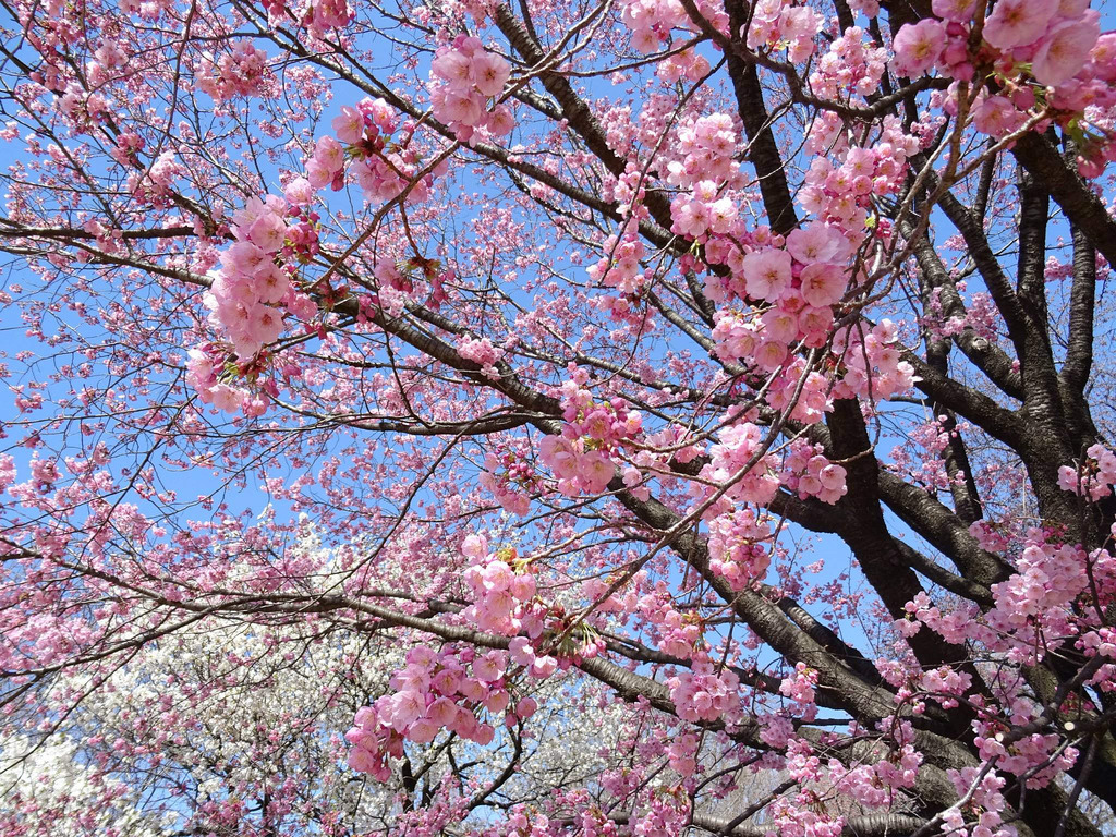 10608618_10202936748898941_4949702985497746939_o