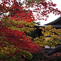 20111126~1201京阪自由行 1253.JPG