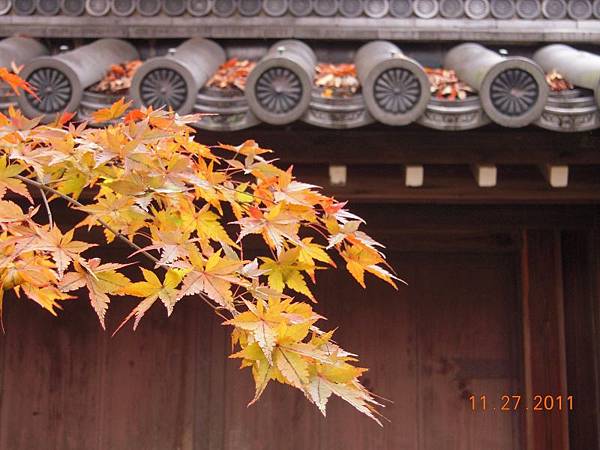 20111126~1201京阪自由行 1293.JPG