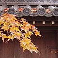 20111126~1201京阪自由行 1293.JPG