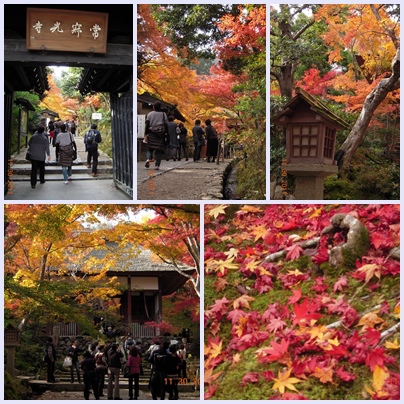 常寂光寺