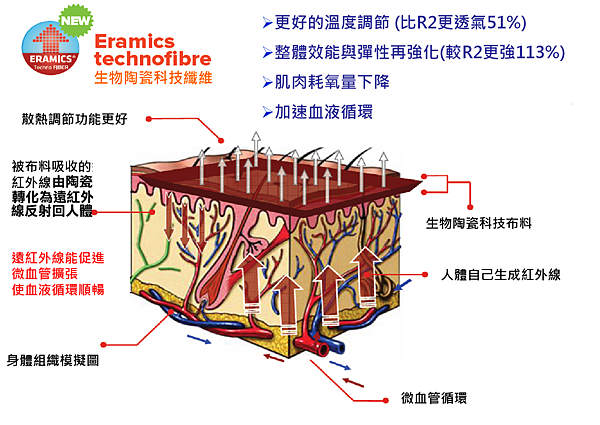 遠紅外線.png