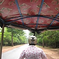 Tuk tuk with floral pattern