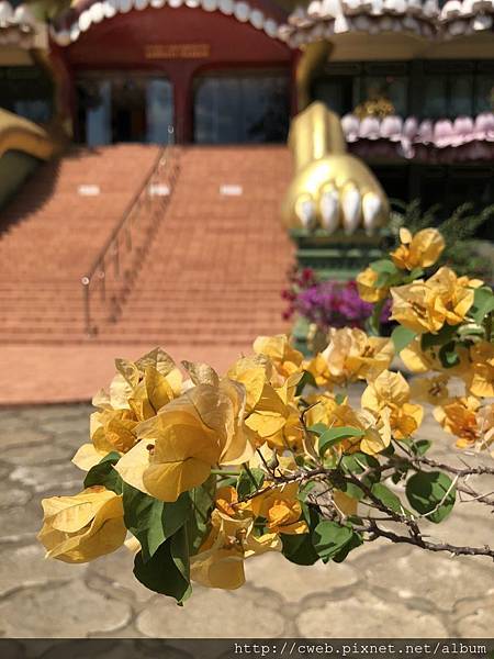 Golden cave temple