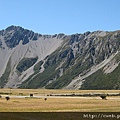 Mt. Cook