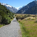 Mt. Cook