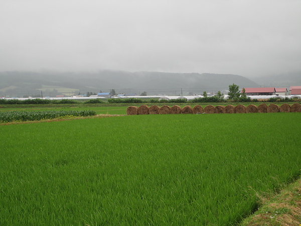 富良野‧麥草堆