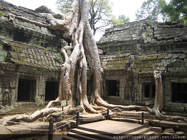 Ta Prohm