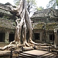 Ta Prohm