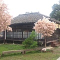 59.jpg