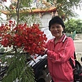 65.jpg