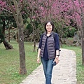 65.jpg