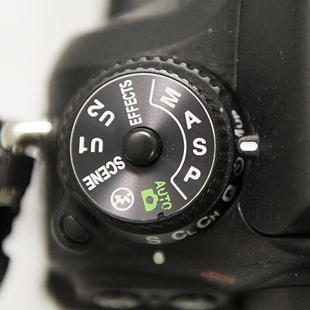 _DSC1709.jpg _DSC1709.jpg