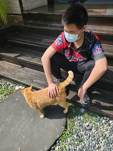 【花蓮吉安】金澤居民宿鄰近綠色隧道的田園風情綠建築x親子民