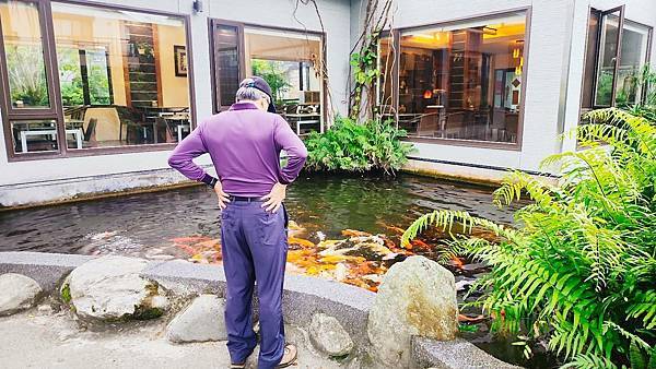 【花蓮吉安】金澤居民宿鄰近綠色隧道的田園風情綠建築x親子民