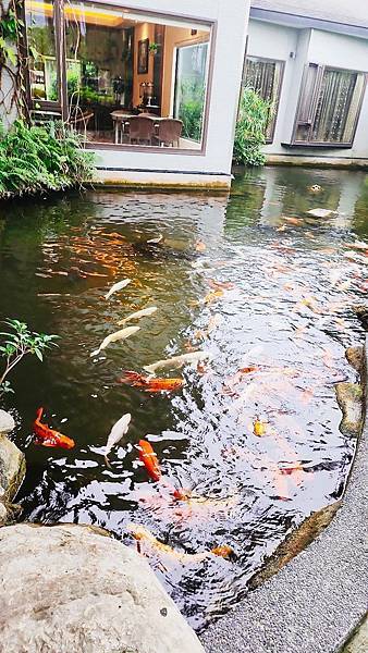 【花蓮吉安】金澤居民宿鄰近綠色隧道的田園風情綠建築x親子民