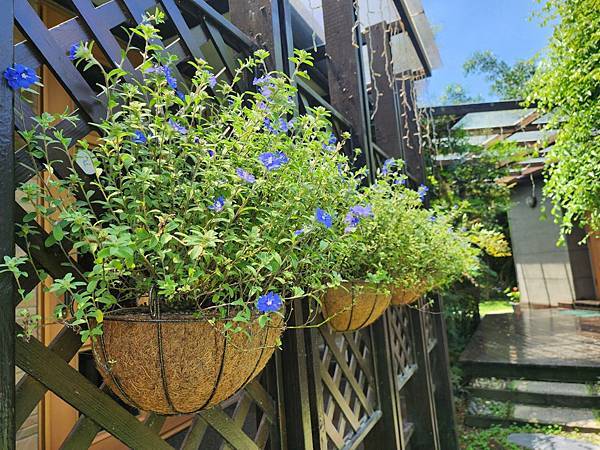 【花蓮吉安】金澤居民宿鄰近綠色隧道的田園風情綠建築x親子民