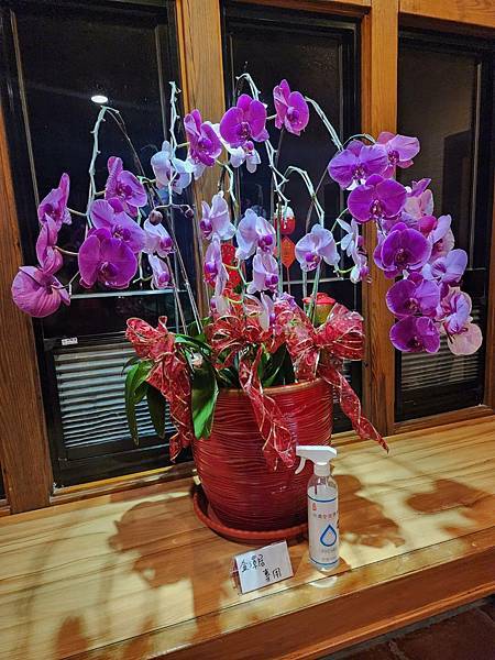 【花蓮吉安】金澤居民宿鄰近綠色隧道的田園風情綠建築x親子民