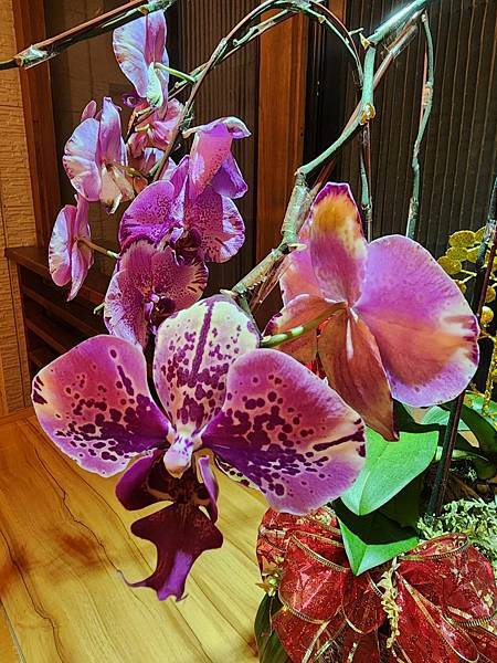 【花蓮吉安】金澤居民宿鄰近綠色隧道的田園風情綠建築x親子民