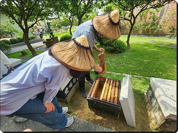 新竹景點推薦【竹北】愛蜂園《愛蜂主題館》☆預約制●寓教娛樂的